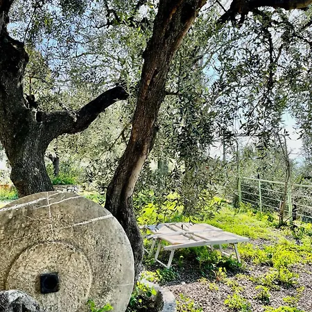 Suggestiva Casa Indipendente Holiday home Imperia